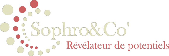 Logo de Sopho&Co', Sophrologue Vienne 38